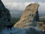 Capri Ischia Procida, Velatrek ad Agosto