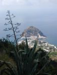 Capri Ischia Procida, Velatrek ad Agosto